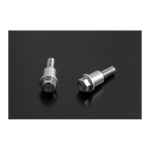 PMC (�s�[�G���V�[) ���A�}�X�^�[�V�����_�[�}�E���g�{���g 2�{ KZ1000MK2 A3 79/Z750FX D2 79 81-3371