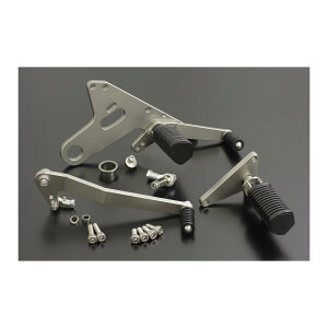 PMC (�s�[�G���V�[) �o�b�N�X�e�b�v S1-TYPE Z1000/Z1100J/R/GP �V���o�[ 74-2034