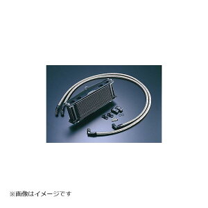 ACTIVE (ANeBu) OILN[[KIT (TCh) Xg[g #6 9-10R ubNdl ZEPHYR400/X [T[Ή] AC14067610BC