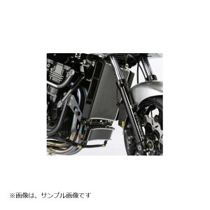 ACTIVE(ANeBu) rbOWG[^[ RAASSY ubN ZRX1100 1200 5050007B