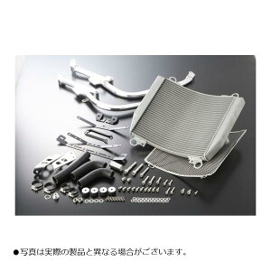 ACTIVE(ANeBu) rbOWG[^[Lbg TYPE1 Vo[ GPZ750R GPZ900R 5057021