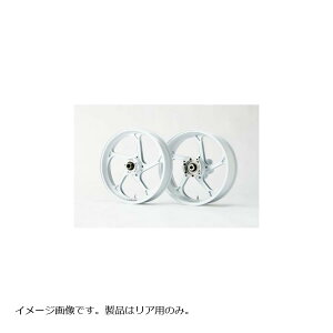 GALE SPEED (�Q�C���X�s�[�h) R550-17�\���b�h�z���C�g TYPE-GP1S ZRX1100 28870112SW