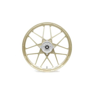 GALE SPEED (QCXs[h) F 185-17 S[h [TYPE-X] CT125n^[Ju(ABS) 29615001