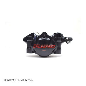 GALE SPEED (QCXs[h) G{[g tg2PLp[ E 34 SCM{gdl ubN WA 60mmsb` (`^sXgdl) GSFCAR34FTP