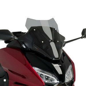 Puig (�v�[�`) V�[TECH LINE SPORT �X�N���[�� �X���[�N FORZA 750 20578H