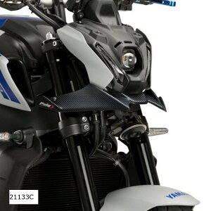 Puig (v[`) lCLbhtgX|C[ J[{vg MT-09 21133C