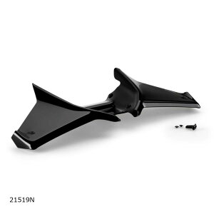 Puig (v[`) lCLbhtgX|C[ OXubNEABS CB750 HORNET 21519N