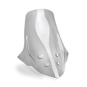 Puig (�v�[�`) V-TECH LINE�c�[�����O�X�N���[�� �X���[�N �o�[�O�}���X�g���[�g125EX 21926H