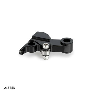 Puig (v[`) Nb`o[A_v^[ ubN CFMOTO 450 NK 21885N