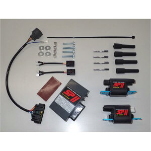 AS�E�I�^�j (�G�[�G�X�E�I�^�j) SP2�t���p���[�L�b�g ZZR1100D 00304