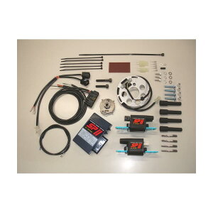 AS�E�I�^�j (�G�[�G�X�E�I�^�j) SP2�t���p���[�L�b�g Z1/2�AZ1R�AZ1000J�AZ1000MKII�AZ1000R/1100R/1100GP�AGPZ1100 00310