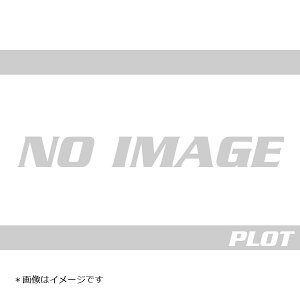 YSS[VO AVbN MS366-260TRW-11 TZR250 3XV 91-99 117-4312011
