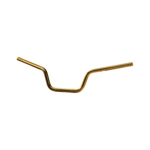 EFFEX (�G�t�F�b�N�X) �C�[�W�[�t�B�b�g�o�[ S�S�[���h Z650RS EBF783G