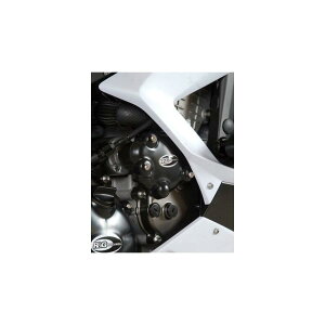 R&G (A[AhW[) X^[^[Jo[ ubN ZX-6R/RR ZX-6R/636 RG-ECC0037BK