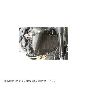 R&G (�A�[���A���h�W�[) ���W�G�^�[�K�[�h �`�^�� SPEED TRIPLE T1050[�X�s�[�h�g���v��] RG-RAD0083TI