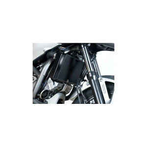 R&G (�A�[���A���h�W�[) ���W�G�^�[�K�[�h �u���b�N NC700X NC700S INTEGRA RG-RAD0115BK