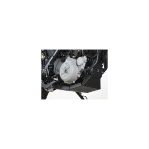 R&G (�A�[���A���h�W�[) �o�b�V���v���[�g �u���b�N TR650 STRADA [�X�g���[�_] RG-BP0005BK