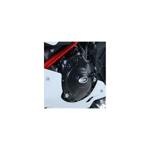 R&G (A[AhW[) WFl[^[Jo[ |vs ubN YZF-R1 RG-ECC0191BK