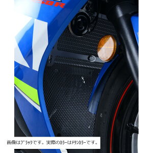 R&G (A[AhW[) WG^[ &_EpCvK[h `^ GSX250R RG-RAD0223TI
