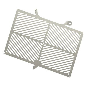 R&G (A[AhW[) XeX WG^[K[h Z900RS