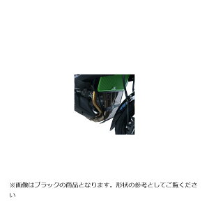 R&G (�A�[���A���h�W�[) �_�E���p�C�v�O�����K�[�h �O���[�� KAWASAKI Versys1000 RG-DG0032GR