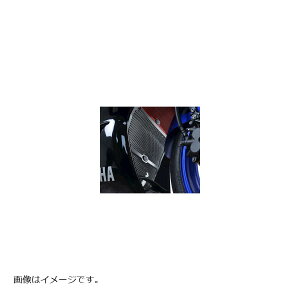 R&G (�A�[���A���h�W�[) �_�E���p�C�v�O�����K�[�h �u���b�N YZF-R25/R3 RG-DG0035BK