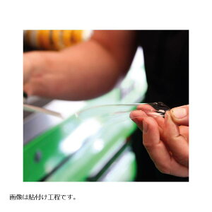 R&G (A[AhW[) ZJhXL(i|E^یtB) YAMAHA FJR1300A RG-SCPYAM006