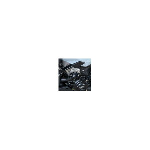 R&G (�A�[���A���h�W�[ ) �G���W���P�[�X�J�o�[ ���[�V���O ���� BMW S1000XR RG-ECC0308R