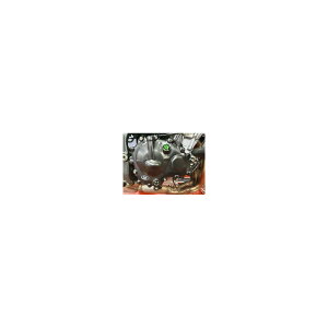 R&G (�A�[���A���h�W�[ ) �G���W���P�[�X�J�o�[ ZX-25R ���[�V���O �E�� RG-ECC0316R 3602-RG-ECC0316R