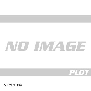 R&G (�A�[���A���h�W�[ ) �Z�J���h�X�L�� Tracer9/GT (with panniers) RG-SCPYAM019A
