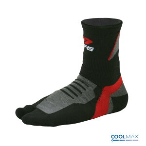 fB[GtW[ ^r\bNX V[g S/M (23.0-26.0cm) DG1103-1041