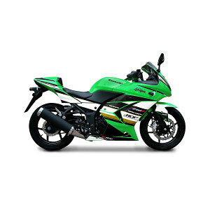 MDF (GfB[Gt) A^bJ[VOV[g Ninja250R 08-12 MNIN25-A-00-SS