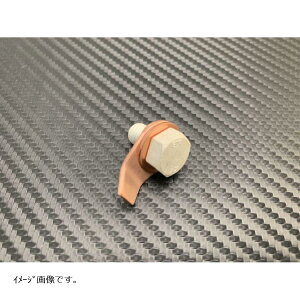 AfBI A[VOwp[ A[X|Cg M10 P1.25 L15 BK55203