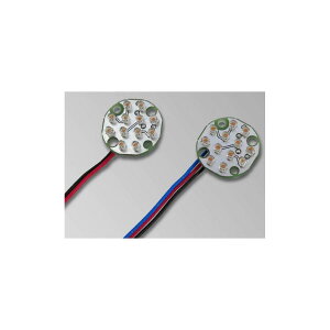 POSH Faith (|bVtFCX) CpLED ی^(|WVt) 095491-MJ