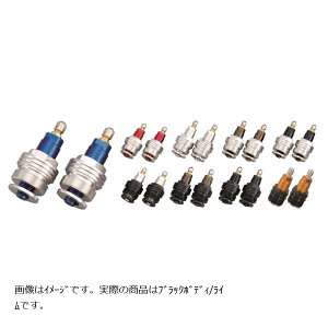 POSH Faith (|bVtFCX) CjVAWX^- ubN/C NINJA250/400 135665-28