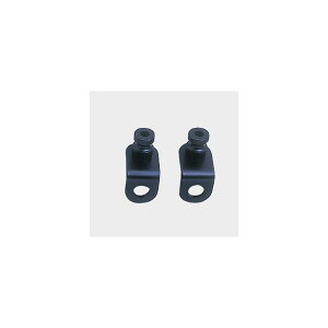 POSH Faith (|bVtFCX) tgECJXe[x[XubN/X`[ FTR223 059096-06