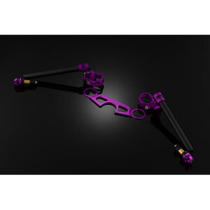 BIKERS (oCJ[Y) AWX^u Zp[gnh Zpn p[v CBR400R H0397-PUR