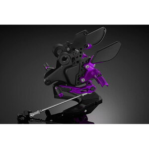 BIKERS (�o�C�J�[�Y) �o�b�N�X�e�b�v �p�[�v�� �j���W��650 Ninja650/Z650 K0387-PUR