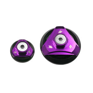 BIKERS (�o�C�J�[�Y) �G���W���v���O 2�� �p�[�v�� Z125 PRO KSR PRO K0145-PUR
