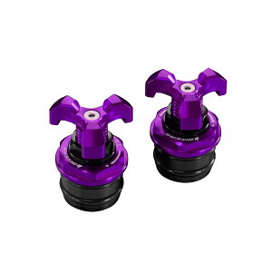 BIKERS (oCJ[Y) CjVAWX^[ 2 p[v jW Ninja250R/250 K0221-PUR