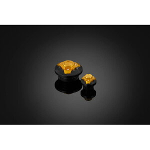 BIKERS (�o�C�J�[�Y) �G���W���v���O 2�� ���C�g�S�[���h �j���W�� Ninja250/400 K0230-LGD