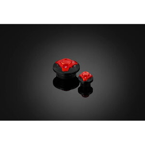 BIKERS (�o�C�J�[�Y) �G���W���v���O 2�� �I�����W �j���W�� Ninja250/400 K0230-ORG