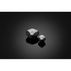 BIKERS (�o�C�J�[�Y) �G���W���v���O 2�� �V���o�[ �j���W�� Ninja250/400 K0230-SLV