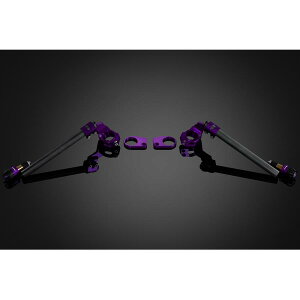 BIKERS (oCJ[Y) AWX^u Zp[gnh Zpn ubN/p[v jW Ninja250R/250 K0293-PUR