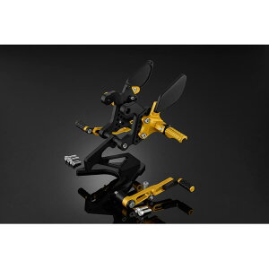 BIKERS (oCJ[Y) obNXebv CgS[h CBR400R H0422-LGD