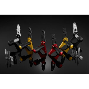 BIKERS (oCJ[Y) {fBveN^[ EZbg GWXC_[ Vo[ CBR400R H0426-SLV