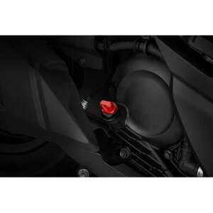 BIKERS (oCJ[Y) ICtB[Lbv IW FORZA H0545-ORG