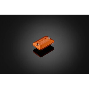 BIKERS (oCJ[Y) }X^[V_[Lbv IWS[h GROM DAX125 CB250R PCX H0971-OGD