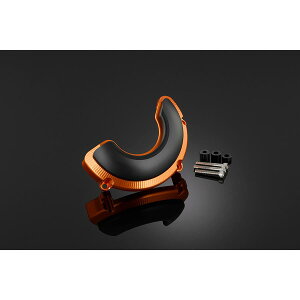 BIKERS (�o�C�J�[�Y) �G���W���K�[�h ���� �I�����W�S�[���h CBR650R CB650R H0571-OGD