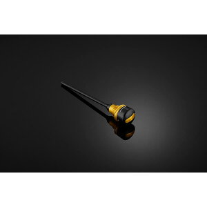 BIKERS (�o�C�J�[�Y) �I�C���t�B���[�L���b�v ���C�g�S�[���h CBR650R CB650R H0577-LGD